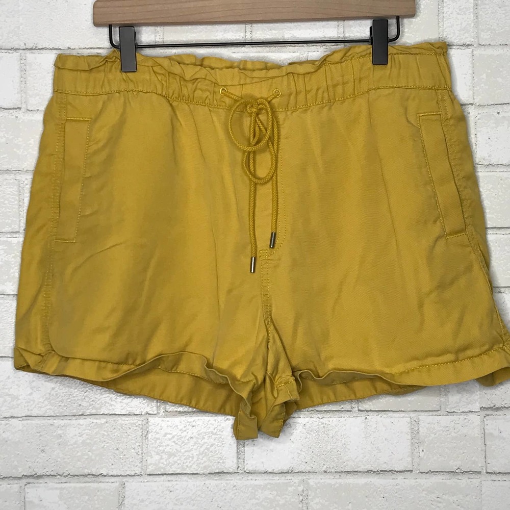 Loft Shorts Womens Size Large